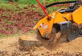 How Our Tree Care Process Works  in  Lovington, IL